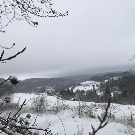 Bergchalet La Roubine Willingen Neerdar Luaran gambar