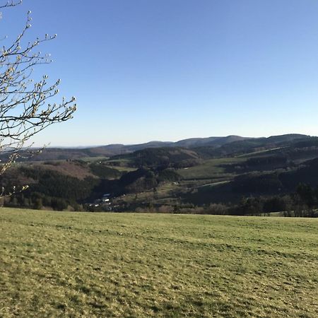 Bergchalet La Roubine Willingen Neerdar Luaran gambar