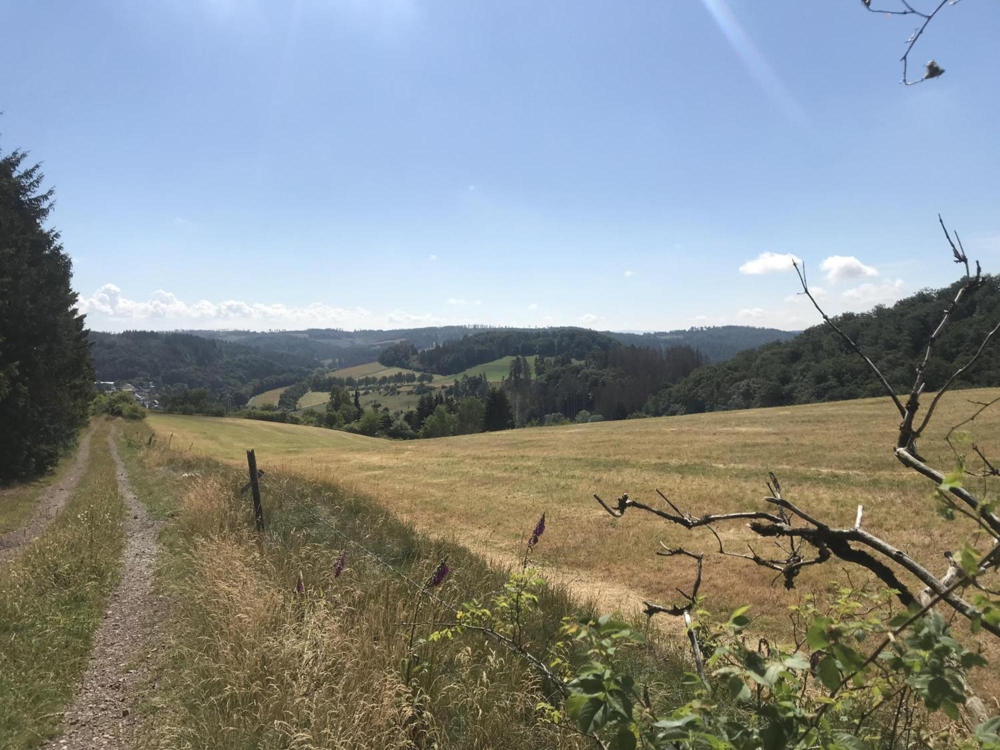 Bergchalet La Roubine Willingen Neerdar Luaran gambar